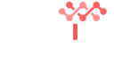 Pro Website Scraper