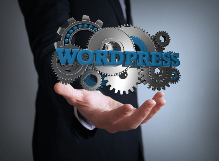 WordPress Data Entry